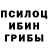 Псилоцибиновые грибы Psilocybine cubensis StronzoAperto