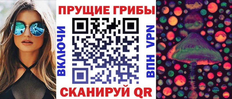 Галлюциногенные грибы Psilocybe  сколько стоит  Урень 